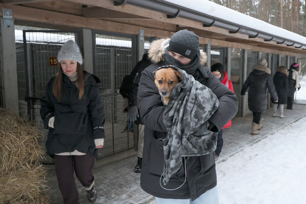 Nocna ewakuacja schroniska Happy Dog w Sobolewie.
