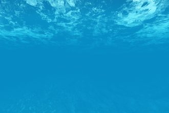 AI pomoże chronić wrażliwe ekosystemy Atlantyku