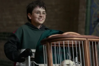 Series „Harry’ego Pottera”