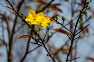 Jaka będzie pogoda w Polsce w kwietniu 2026 roku
