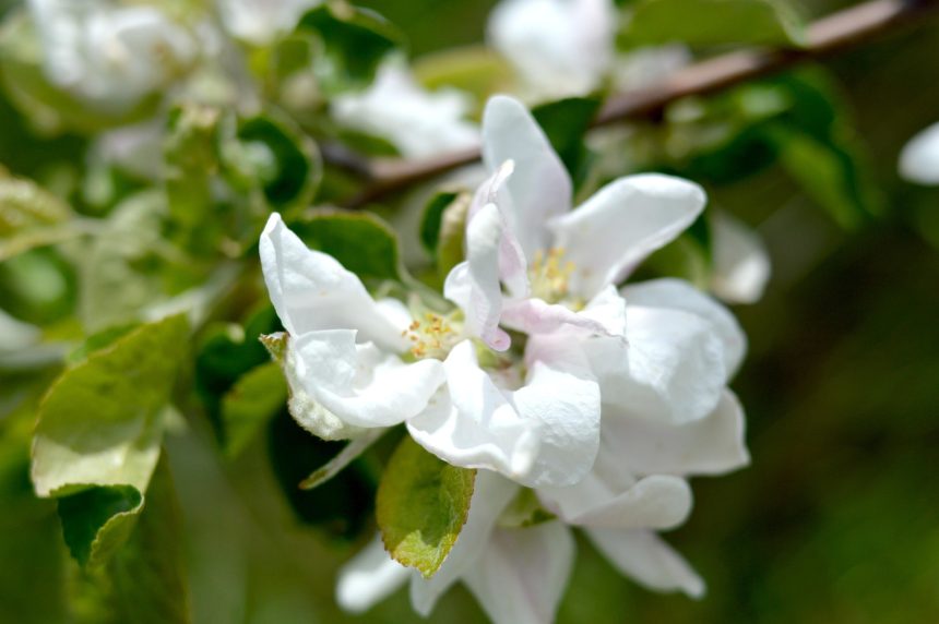 Pogoda w Bytowie w tym tygodniu